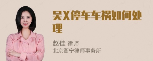 吴X停车车祸如何处理