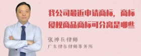 我公司最近申请商标，商标侵权商品商标可分离是哪些