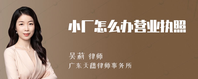 小厂怎么办营业执照