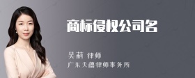 商标侵权公司名