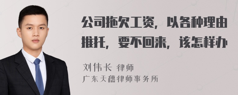 公司拖欠工资，以各种理由推托，要不回来，该怎样办