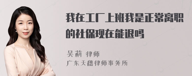 我在工厂上班我是正常离职的社保现在能退吗