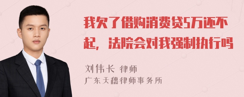 我欠了借购消费贷5万还不起，法院会对我强制执行吗