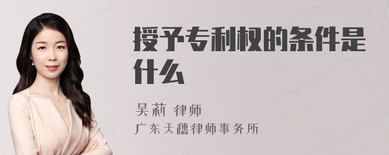 授予专利权的条件是什么