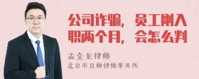 公司诈骗，员工刚入职两个月，会怎么判