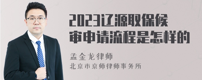 2023辽源取保候审申请流程是怎样的