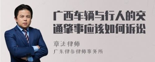 广西车辆与行人的交通肇事应该如何诉讼