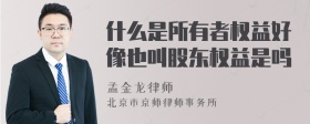 什么是所有者权益好像也叫股东权益是吗