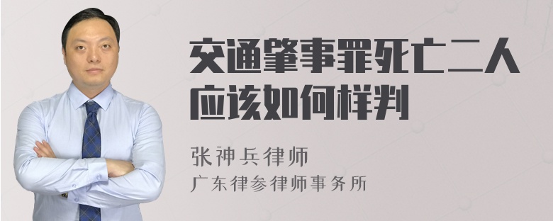 交通肇事罪死亡二人应该如何样判