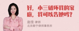 好，小三破坏我的家庭，我可以告她吗？