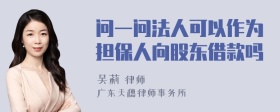 问一问法人可以作为担保人向股东借款吗