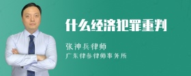 什么经济犯罪重判