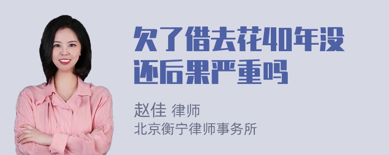 欠了借去花40年没还后果严重吗