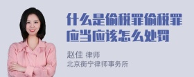 什么是偷税罪偷税罪应当应该怎么处罚