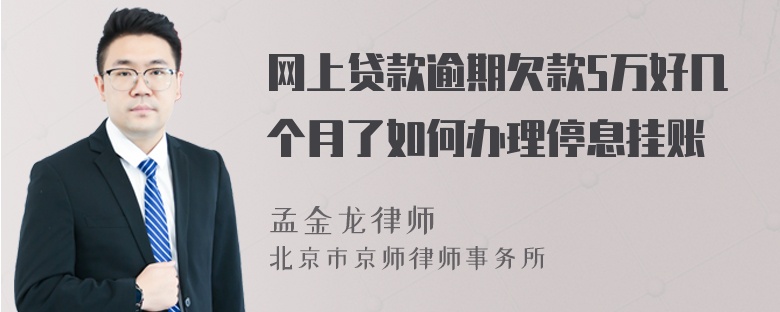 网上贷款逾期欠款5万好几个月了如何办理停息挂账