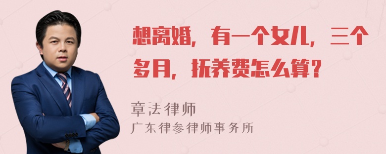 想离婚，有一个女儿，三个多月，抚养费怎么算？