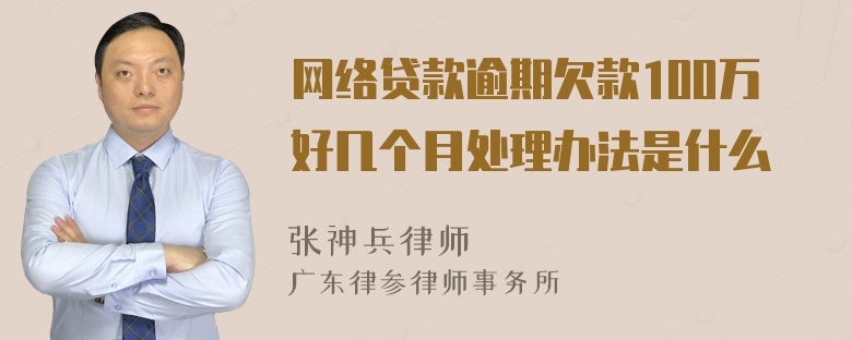 网络贷款逾期欠款100万好几个月处理办法是什么