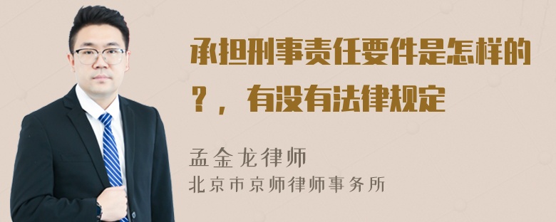 承担刑事责任要件是怎样的？，有没有法律规定