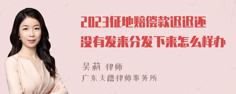 2023征地赔偿款迟迟还没有发来分发下来怎么样办