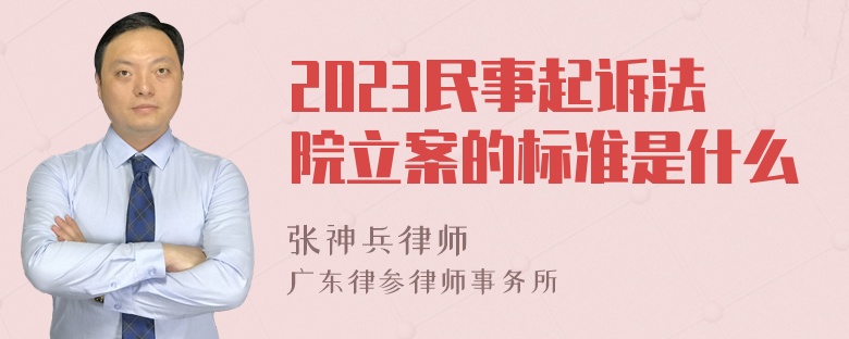 2023民事起诉法院立案的标准是什么