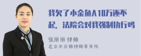 我欠了小金鱼A10万还不起，法院会对我强制执行吗