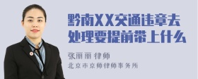 黔南XX交通违章去处理要提前带上什么