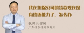 我在担保公司的贷款现在没有偿还能力了，怎么办