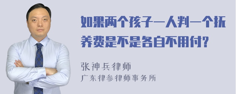 如果两个孩子一人判一个抚养费是不是各自不用付？