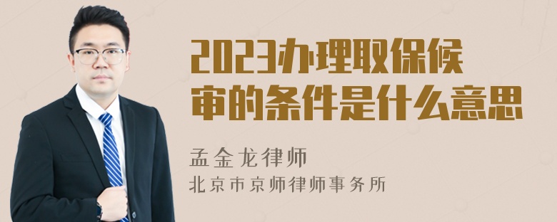 2023办理取保候审的条件是什么意思