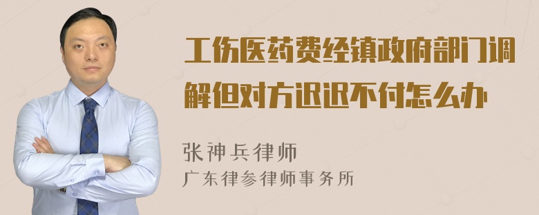 工伤医药费经镇政府部门调解但对方迟迟不付怎么办