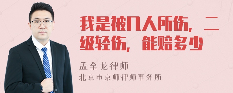 我是被几人所伤，二级轻伤，能赔多少