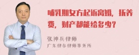 哺乳期女方起诉离婚，抚养费，财产都能给多少？