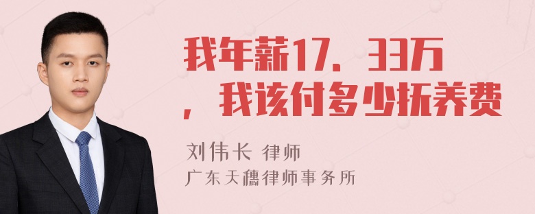 我年薪17．33万，我该付多少抚养费