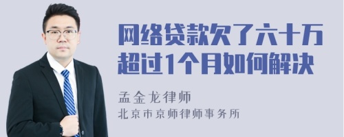 网络贷款欠了六十万超过1个月如何解决