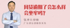 网贷逾期了会怎么样会坐牢吗？