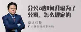 分公司如何升级为子公司，怎么规定的