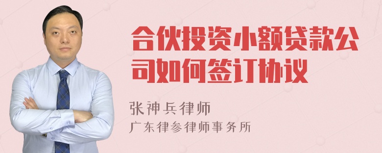 合伙投资小额贷款公司如何签订协议