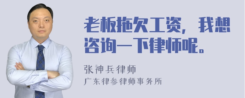 老板拖欠工资，我想咨询一下律师呢。