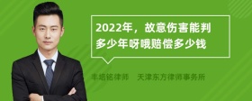 2022年，故意伤害能判多少年呀哦赔偿多少钱