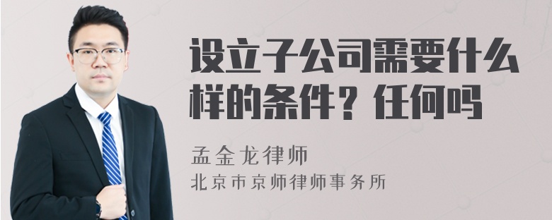 设立子公司需要什么样的条件？任何吗