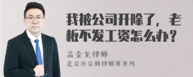 我被公司开除了，老板不发工资怎么办？