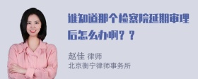 谁知道那个检察院延期审理后怎么办啊？？