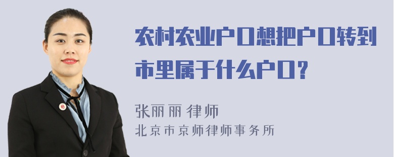 农村农业户口想把户口转到市里属于什么户口？