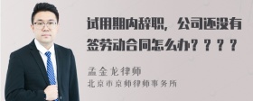 试用期内辞职，公司还没有签劳动合同怎么办？？？？