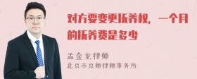 对方要变更抚养权，一个月的抚养费是多少