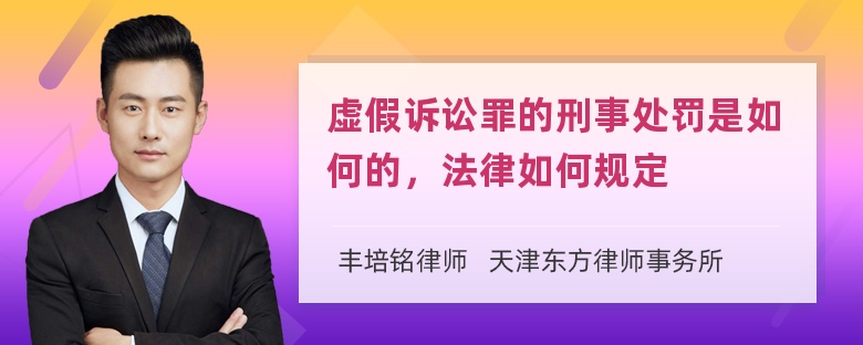 虚假诉讼罪的刑事处罚是如何的，法律如何规定