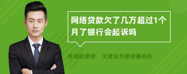 网络贷款欠了几万超过1个月了银行会起诉吗