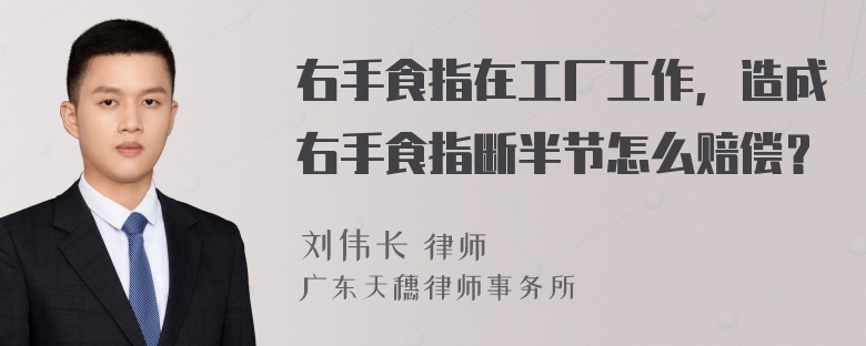 右手食指在工厂工作，造成右手食指断半节怎么赔偿？