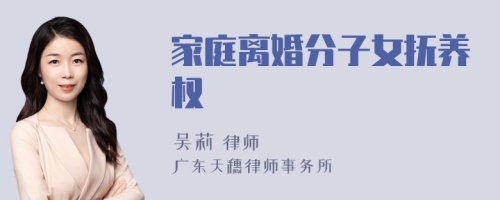 家庭离婚分子女抚养权