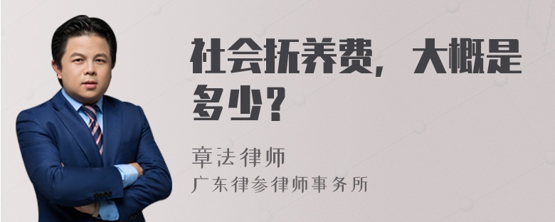 社会抚养费，大概是多少？